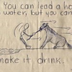 You can lead a horse to water…Inspiring Leadership through Horse Whispering